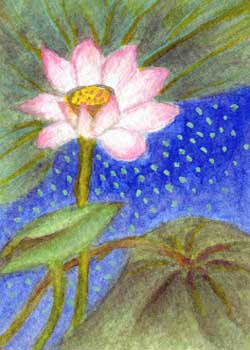"Lotus" by Vina Yang, Verona WI - Watercolor - SOLD